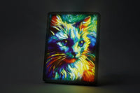 Laat jouw 3Dream tot leven komen – Share Your Dream